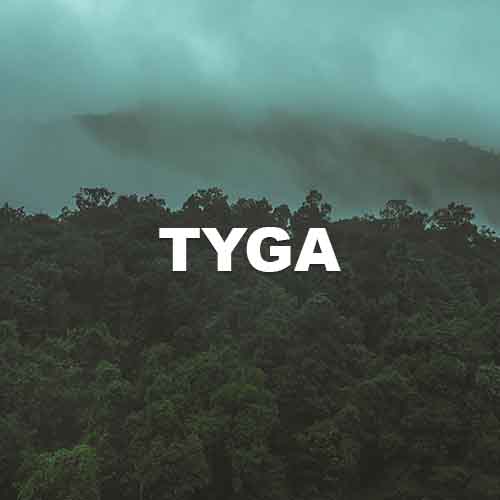 track-artwork