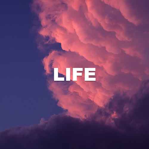 track-artwork