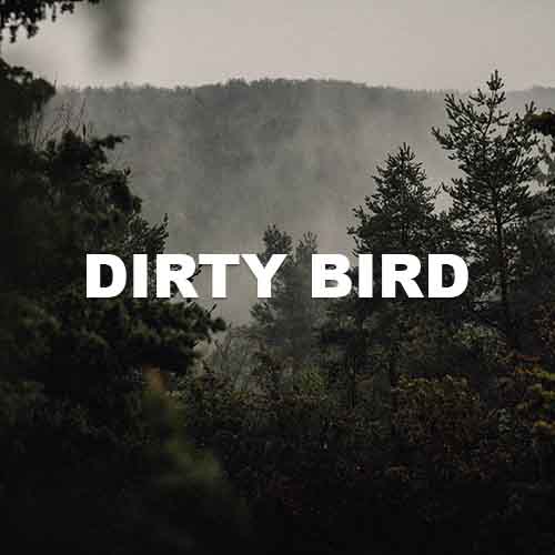 track-artwork