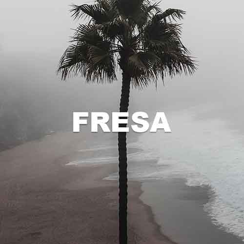 track-artwork
