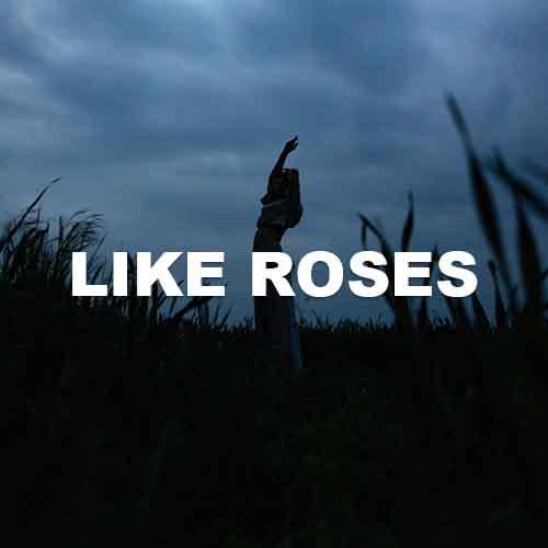 track-artwork
