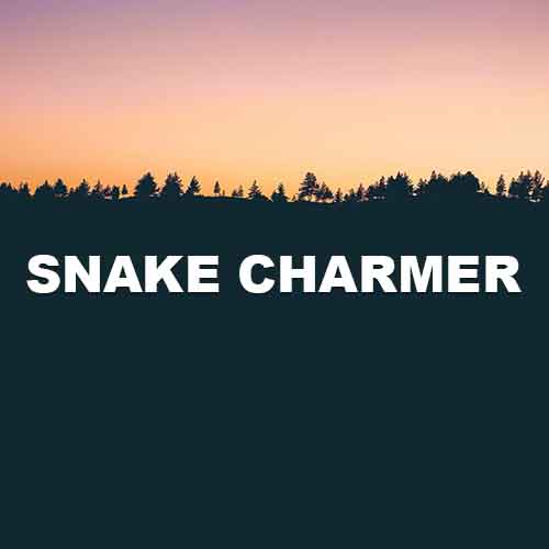 track-artwork