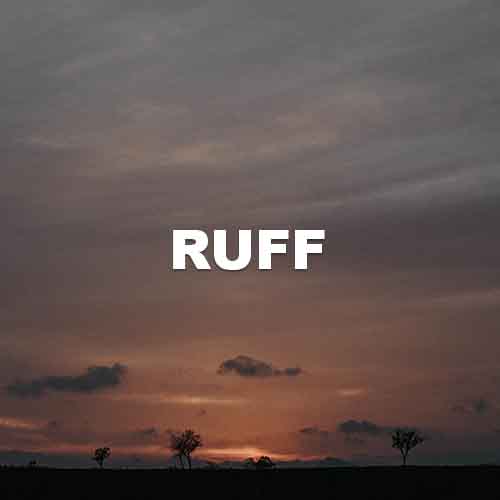 track-artwork