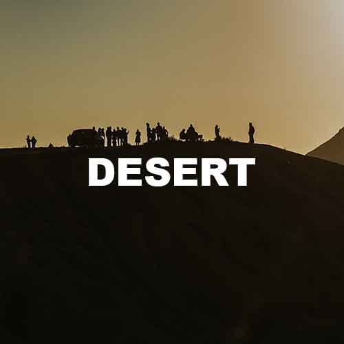 track-artwork