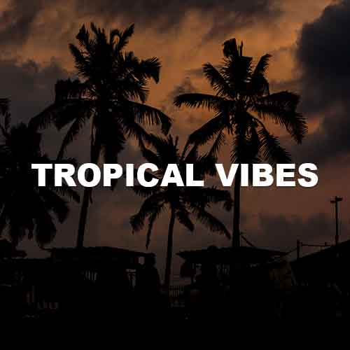 track-artwork