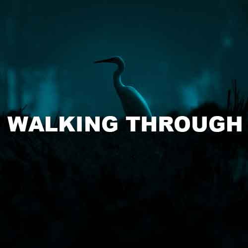 track-artwork