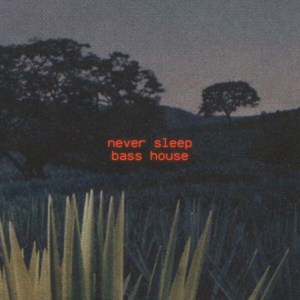 Never Sleep