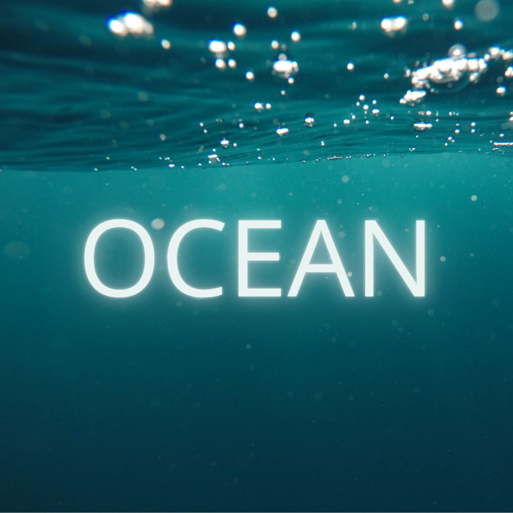 Ocean