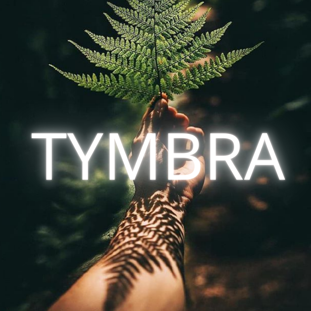 Tymbra