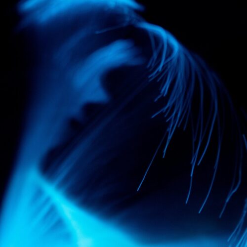track-artwork