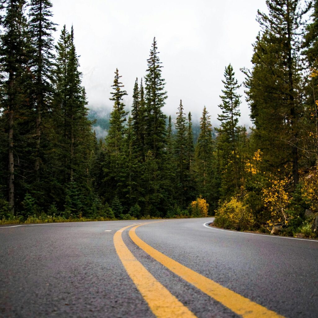 The Way