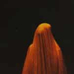 profile 142 1752601362