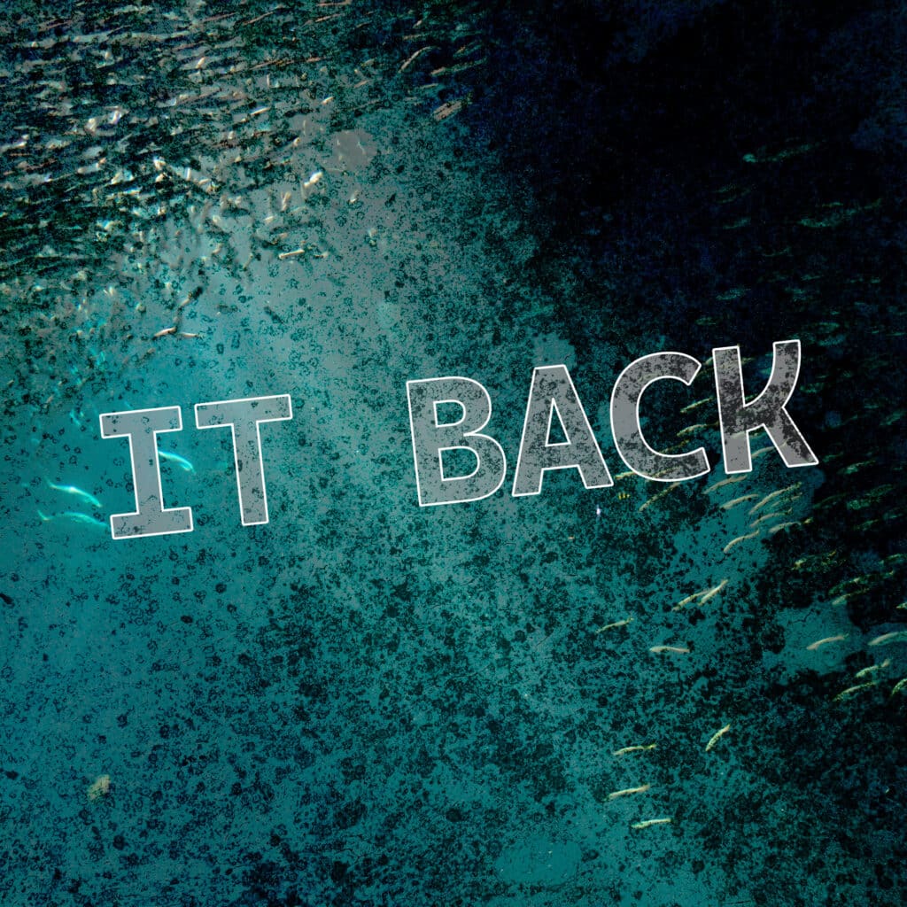 It Back