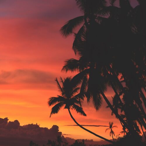 track-artwork