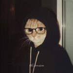 profile 5637 1755695458