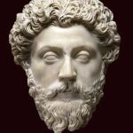 profile 7328 1768729792