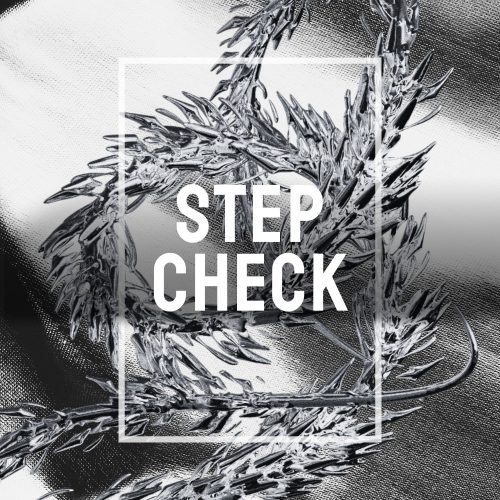 Step Check - The Ghost Production