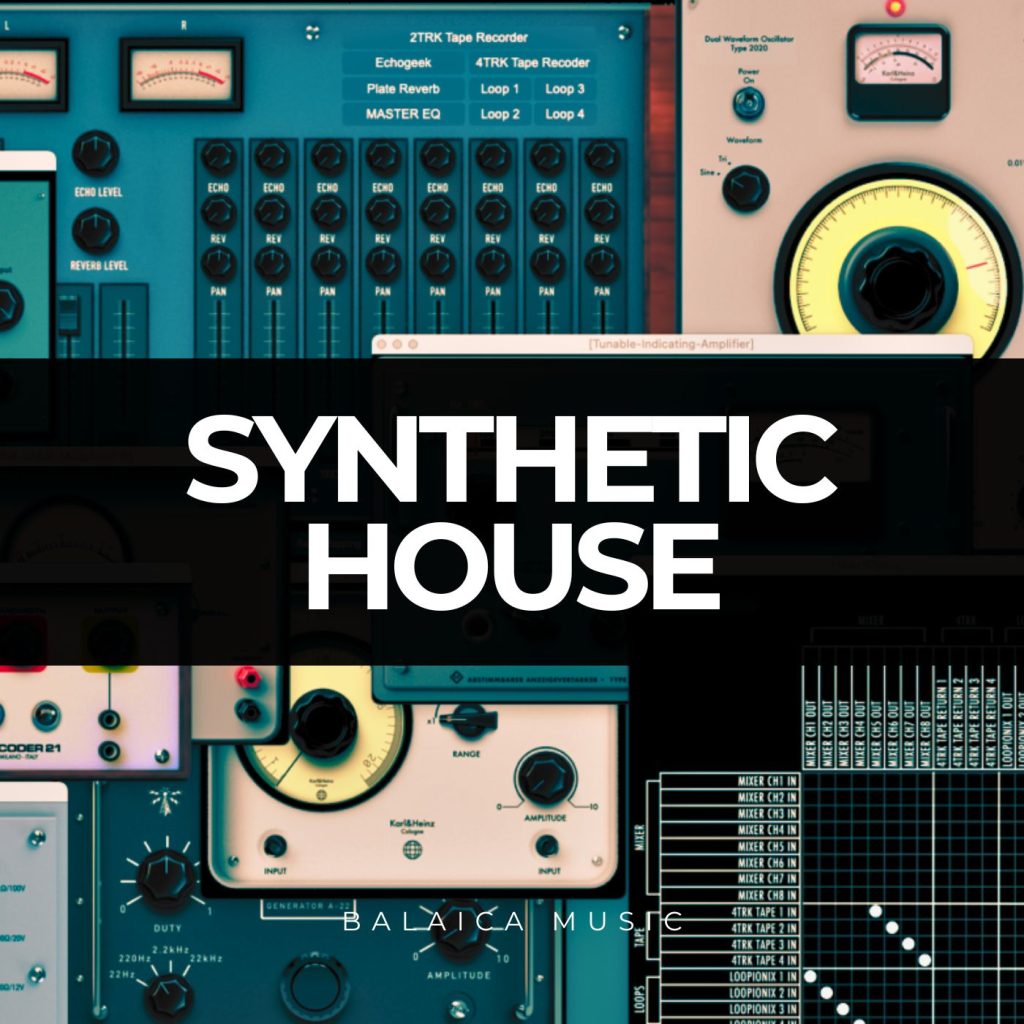 Synthetic House