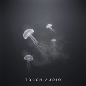 touch audio sanctuary 5515118 tgp